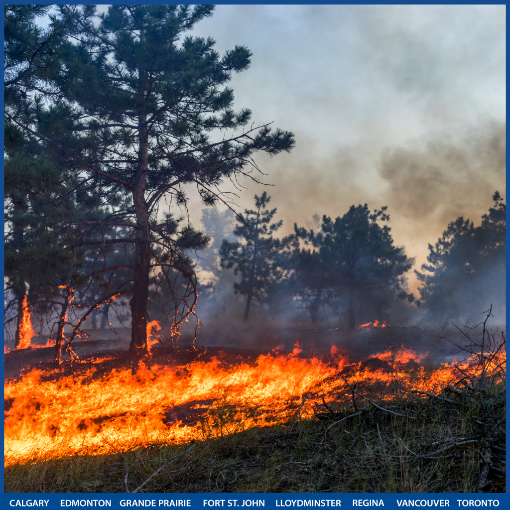 Alberta Wildfires