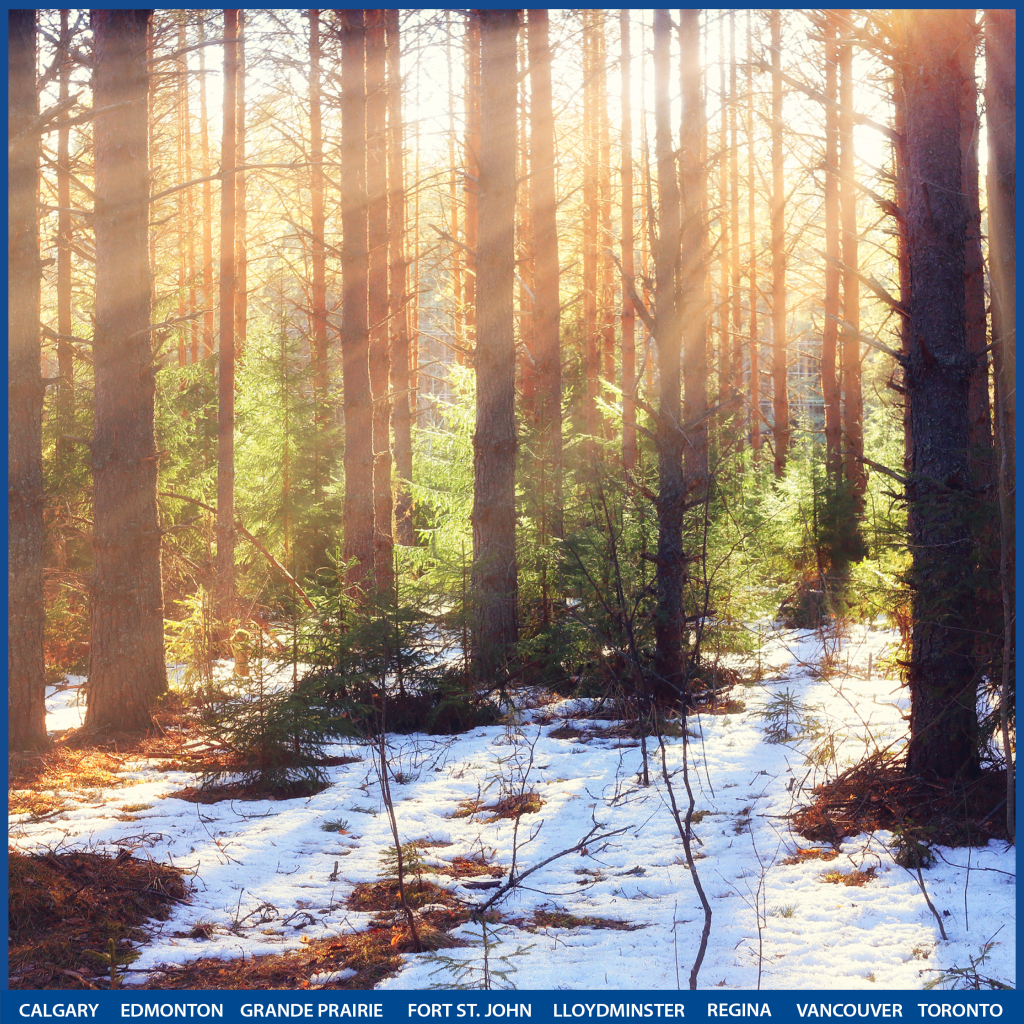 First Day of Spring!